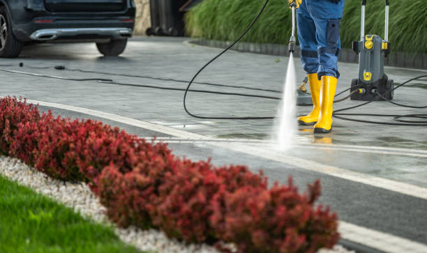 Boat and Dock Cleaning in Bass Lake, IN